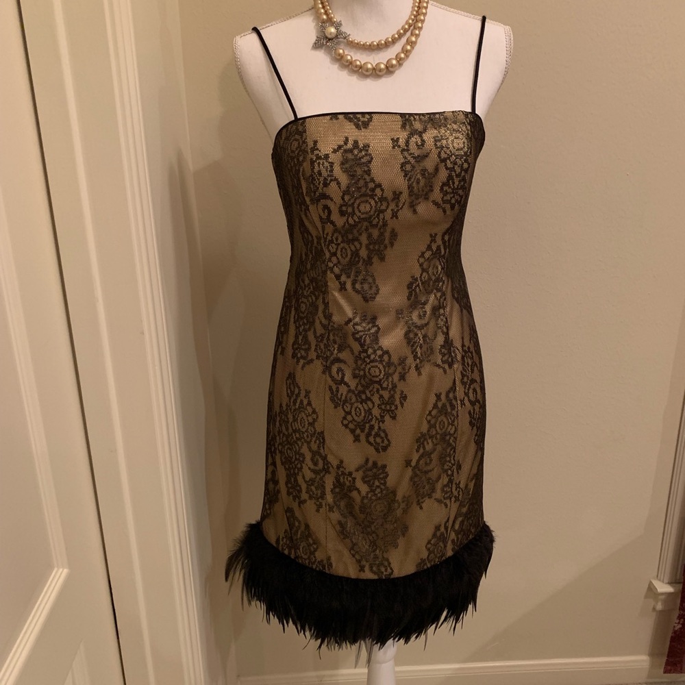 Ignite Evenings by Carol Linn Lace Feather Dress